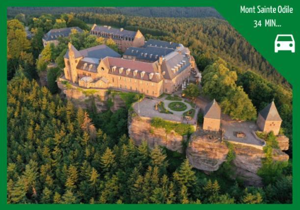 Grenier Des Cigognes Lägenhet Sélestat Exteriör bild
