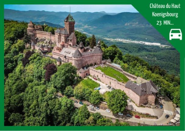 Grenier Des Cigognes Lägenhet Sélestat Exteriör bild